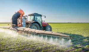 pesticidi nella coltivazione di un cibo consumatissimo